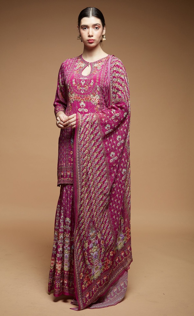 Blush Radiance Sharara Set